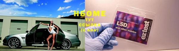 ешки Алексин