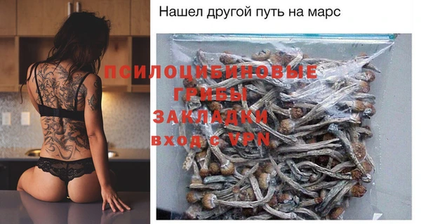 ешки Алексин