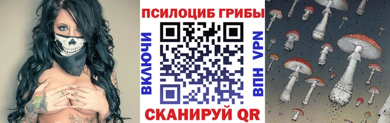 Галлюциногенные грибы MAGIC MUSHROOMS где продают Петрозаводск